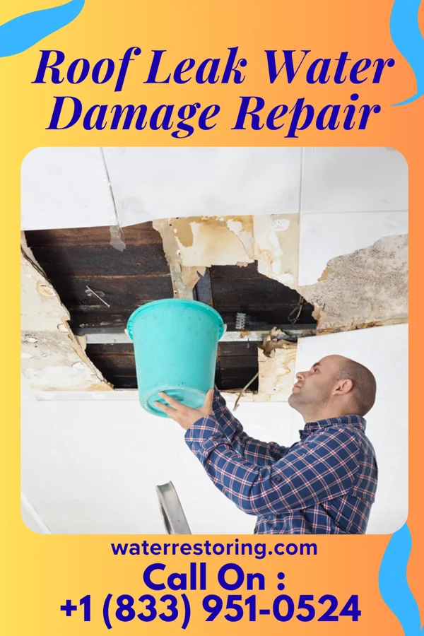 Roof Leak Water Damage Repair in Falls City, TX
